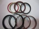 LZ00620  CYLINDER SEAL KIT FITS CASE CX460