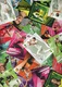 2018-19  TAP 'N' PLAY CRICKET CARD LOT [Feat BBL & WBBL CARDS] COMPLETE YOUR SET