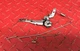 Honda Harmony II HRS216 PDA GOVERNOR ARM  16551-ZM0-010 Rod & Spring        [83]
