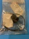 NEW OEM TELEDYNE WISCONSIN ROBIN HARDWARE KIT EY2067110107, EY18W9020 &mdash;B46