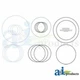 A46286 Seal Kit-Clutch Repair Fits Case-IH: 1070,1270,1370,1570,1896,2090,