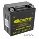 AGM Battery for Honda TRX450FE TRX450FM Foreman 450 4X4 Es S 2002 2003 2004