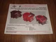 Vintage 1991 Briggs & Stratton Owners Manual 194700 257700 272550-10/92