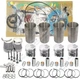 4D95S-W-1F 4D95S-W-1G Engine Overhaul Rebuild Kit for Komatsu D21 D20 Dozer Etc