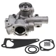 New 119E10-42000 119E1042000 Water Pump for Yanmar 3YM30AE 3TNV80F-SXNBV 3TNV76:
