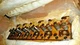 KOMATSU 6D95L-1AA-S CYLINDER HEAD 6206-11-1010 6206-11-1110  w/ valves springs