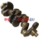 New Crankshaft For Deutz BF3M1011F Gehl STUMPGRINDER RACO