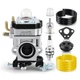 OEM RUIXING Carburetor For Earthquake E43 E43WC E43CE Auger 300486 Trimmer