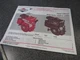 Briggs & Stratton Owners Manual Model Series 133200 & 135200 272646-10/92
