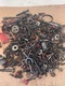 1980 International IH 1586 Tractor Bolts & Hardware