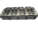 YM129602-11700 NEW KOMATSU CYLINDER HEAD FOR YANMAR 4TNV88 129602-11700 SK714-5