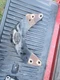 Iveco 4.5 front motor mount Fits Case 450 465 Skid Steer New Holland 445T/M2