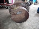 Bobcat T300 Left Hand Final Drive Hydraulic Motor 80687532 Track Loader