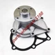 Water Pump 3704180M91 for Massey Ferguson 1125 1140 1240 1250 1260 Bolens G274
