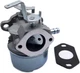 640300 Carburetor Compatible with Tecumseh HSK850 HSK870 TH139SA TH139SP