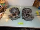 03 Honda TRX450FE TRX 450 FE cases bottom end Engine Crankcase Crank Case