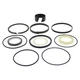 Hydraulic Cylinder Seal Kit For Case IH 580L Series 2 Indust/Const 122535A1