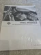 2004 Harley Davidson V Rod VRSC  Models  99499-04 Electrical Diagnostic Manual  