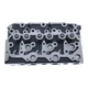 D1503 Complete Cylinder Head New Fits for Bobcat CT335 Kioti DK35 Tractor