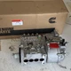 Fuel Injection Pump 5261583 5268997 For Cummins 4BT 4BTA 3.9L 125HP 140HP Engine
