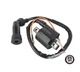 Ignition Coil Kawasaki OEM Replacement KX60 KX65 KX80 KDX80 KX125 KX250 KDX200