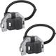 (2) For Kawasaki FR FS FX FX730V FX751V Series Engines 21171-0711 Ignition Coils
