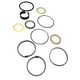 Seal Kit 1543273C1 Fits Case 680E 680G 680H 680K 780 850B 850C 850D 850E W14
