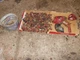 McCormick Farmall F12 F14 IH tractor box parts pieces nuts bolts covers