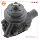 Water Pump 34745-11010 For Mitsubishi S4E S6E S6E2 Forklift FDC25 FD45-50 M