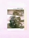 2023 Ford F150 Supplemental Owners Manual Set OEM Free Shipping 