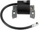 Ignition Coil to Eliminate Points 5Hp for Briggs & Stratton