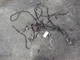 Allis-Chalmers 6140 tractor complete wiring harness Tag #835