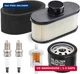 FR691V Tune Up Kit for Kawasaki FR651V FR730V FS481V FS541V FS600V FS651V...