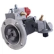 Fuel Pump 3417677 for Cummins M11 N14 QSM11 ISM11 NTA855 KTA19 KTA38 Engine