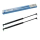 Gas Springs for Valmet-Valtra A72 A82 A83 - Rear Window - 2 Piece 22554100 YOU.S