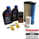 Genuine Kawasaki 99969-6658 Tune-Up Kit 20W50 for FX921V, FX1000V Engines