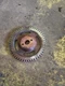 Iveco 4.5 injection pump gear Case 450 465 Skid Steer New Holland 445T/M2 6.7 