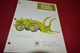 Terex 72-21 72-31 Logging Loaders Loader Dealer's Brochure DCPA4 