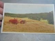 Vintage Allis-Chalmers All-Crop Harvester postcard #2