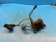 COIL FOR STIHL CHAINSAW 032AV   ---   BOX 5176 Q
