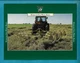 VERMEER WR20/WR22/WR24 HYDRAULIC-FOLD WHEEL RAKES BROCHURE