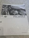 2004 Harley Davidson V Rod VRSC Models  Parts Catalog Manual 99457-04 New In...