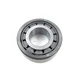 4308398B Roller Bearing Countershaft Replacement For Pn 4302712 for Eaton