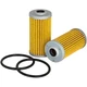 2X Fuel Filter for Massey Ferguson GC1710 GC1715 GC1720 GC1723E GC1725M GC2300