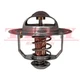 Thermostat 1-13770070-0 1137700700 For Isuzu Engine 6BD1 6BG1 6BB1 Hitachi EX100
