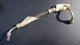 NOS GM 1972 Chevy GMC C-Series 40-50 V8 350 Power Steering Hose 688180