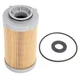 Fuel Water Separator 3635819 for CAT Engine C1.7 C2.2 Excavator 304E2 305E2
