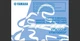 2015 Yamaha YFM700R ATV Maintenance and Owner's manual