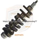 Crankshaft 12201-EW406 for Nissan Engine QD32