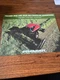 Premier 2940 2952i Self Propelled Windrowers Brochure FCCA